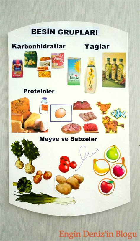 besinler ve özellikleri 5 sınıf konu anlatımı